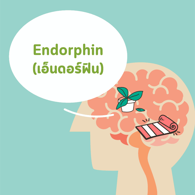 วิธีทำให้มีความสุข-เครียด-เอ็นดอร์ฟิน-endorphin