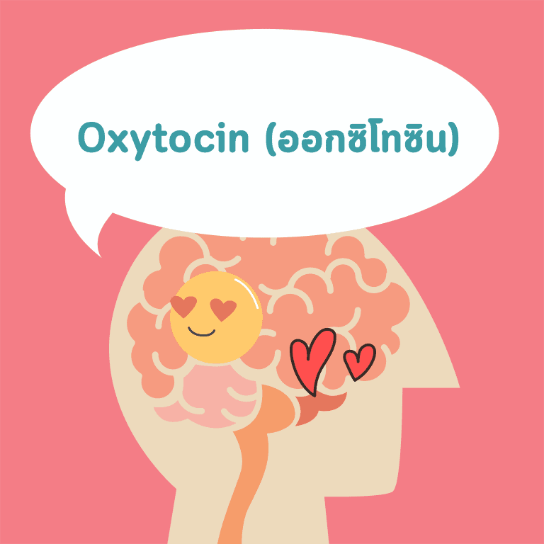 วิธีทำให้มีความสุข-เครียด-oxytocin-ออกซิโทซิน