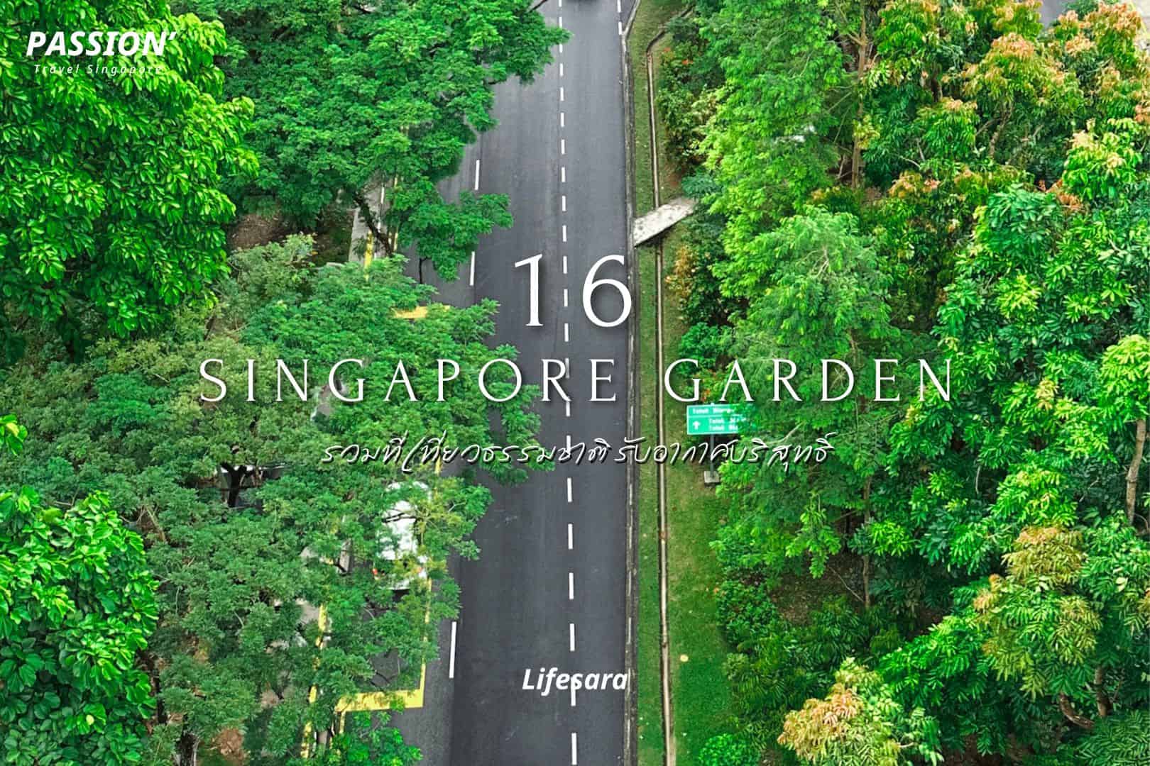 สวนสิงคโปร์-เที่ยวสิงคโปร์-สวนสาธารณะ สิงคโปร์-เที่ยวสิงคโปร์ 2022-เที่ยวสิงคโปร์ 2022 pantip-เที่ยวสิงคโปร์ด้วยตัวเอง-เที่ยวสิงคโปร์ด้วยตัวเอง-แผนที่ เที่ยวสิงคโปร์-ไปสิงคโปร์