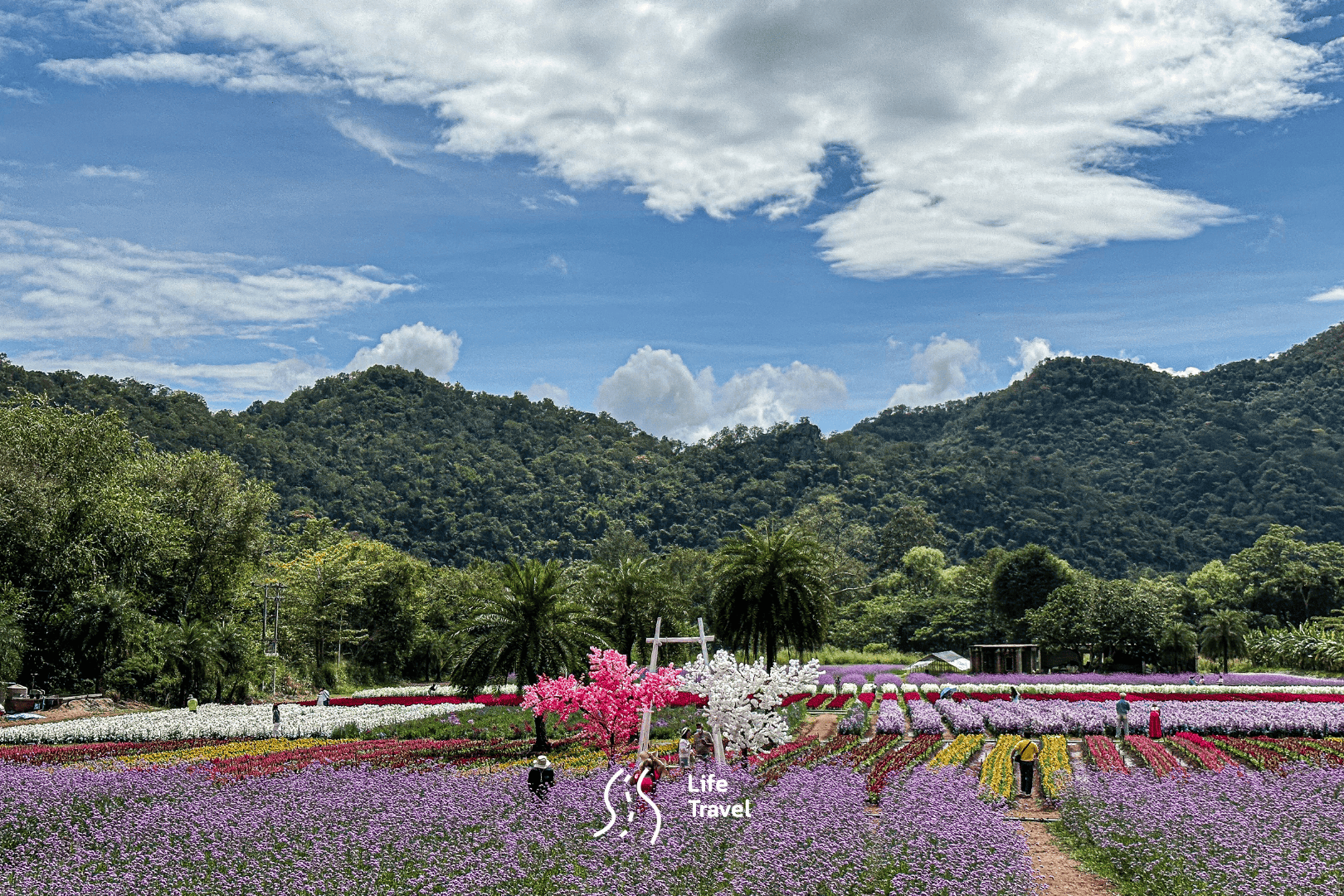 เขาใหญ่-ร้านอาหารเขาใหญ่-ยุ้งข้าว เขาใหญ่-เขาใหญ่ที่เที่ยว-ที่เที่ยวเขาใหญ่ 2022-ที่เที่ยวเขาใหญ่ 2023-เขาใหญ่อยู่จังหวัดอะไร-ที่เที่ยวเขาใหญ่ 2565-ที่เที่ยวเขาใหญ่ 2566-ร้านอาหารเขาใหญ่ 2022-ร้านอาหารเขาใหญ่ 2023-ที่เที่ยวเขาใหญ่แบบครอบครัว-ที่เที่ยวเขาใหญ่ ปากช่อง-ที่เที่ยวเขาใหญ่แบบธรรมชาติ-อุทยานแห่งชาติ เขาใหญ่-อุทยานแห่ง เขาใหญ่-คาเฟ่ เขาใหญ่-ทอสคาน่า เขาใหญ่-เที่ยว เขาใหญ่-น้ําผุด เขาใหญ่-สถานที่ท่องเที่ยว เขาใหญ่-สวนดอกไม้ เขาใหญ่-วัด เขาใหญ่