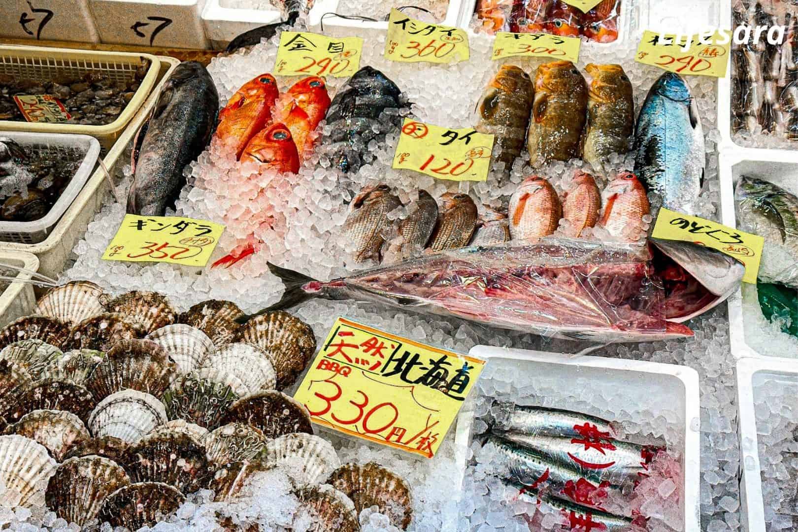 แพลนosaka_22.4