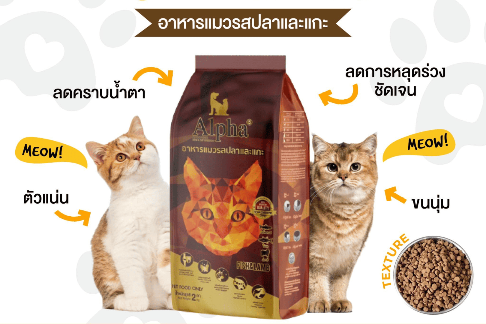 อาหารแมวยี่ห้อไหนดี