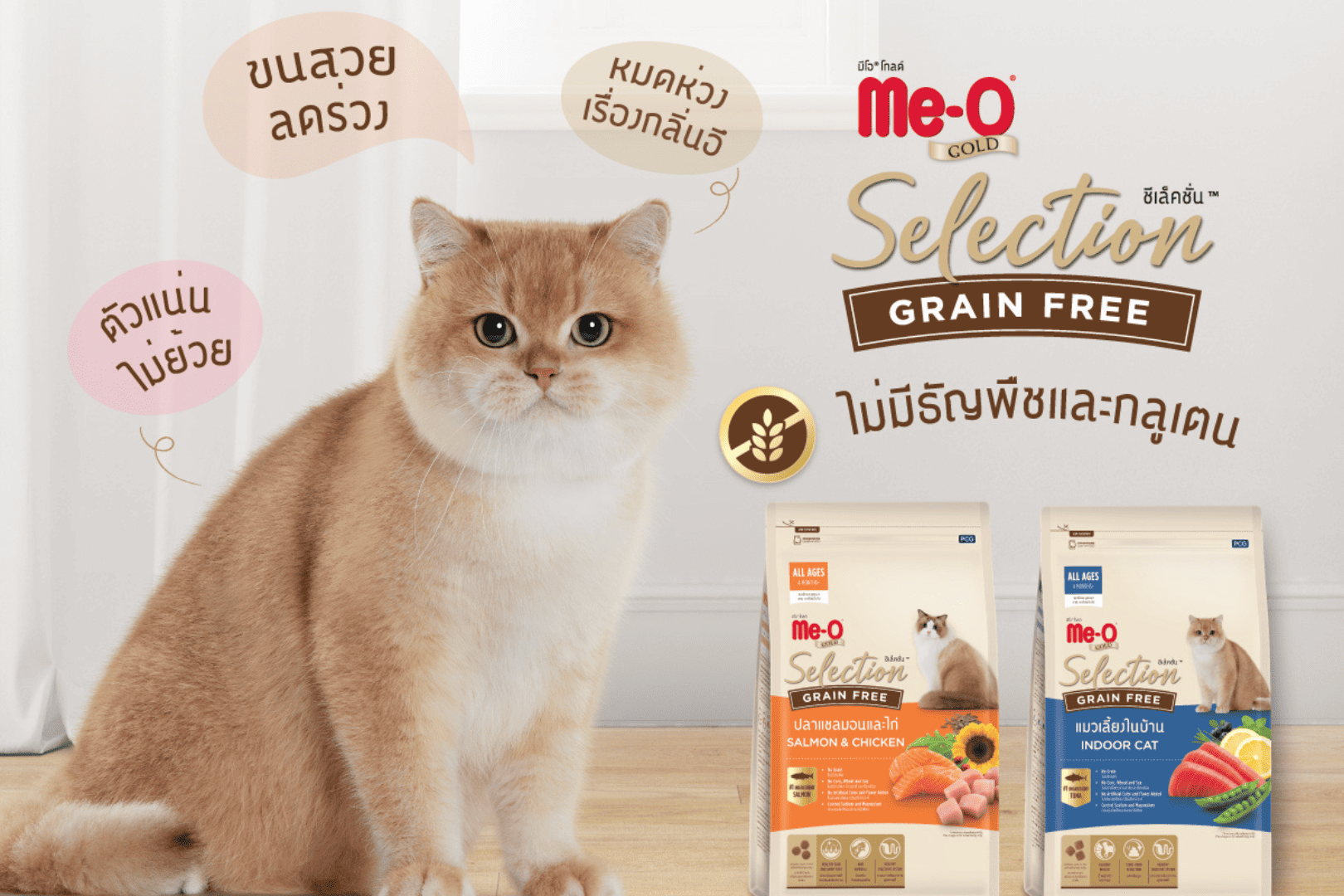 อาหารแมว มีโอ-