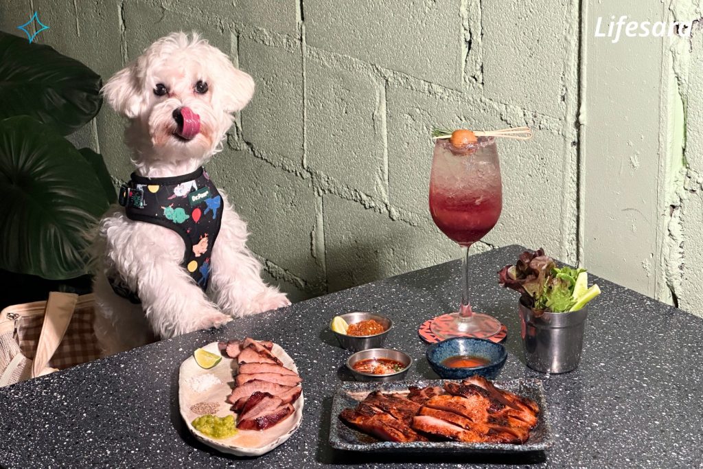 คาเฟ่ pet friendly